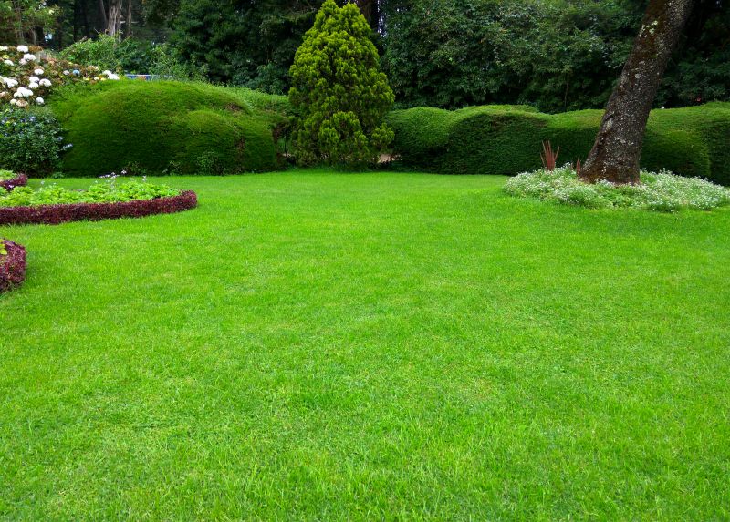 Residential Lawn Care detail