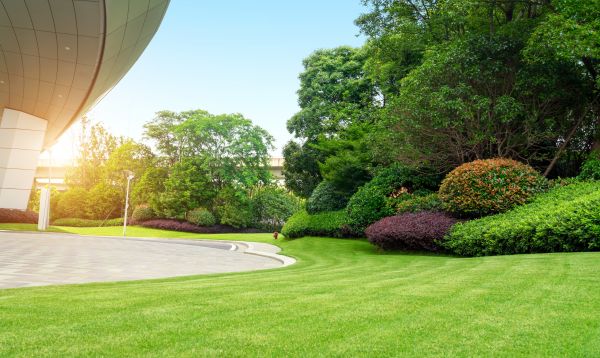 Cost of Commercial Lawn Mowing in Gilbert
