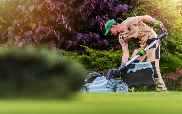 Cost of Lawn Care And Maintenance in Gilbert