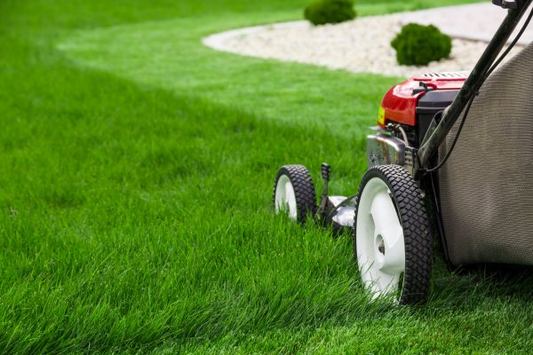 Cost of Yard Maintenance in Gilbert