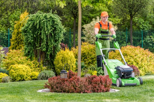 Cost of Yard Service in Gilbert
