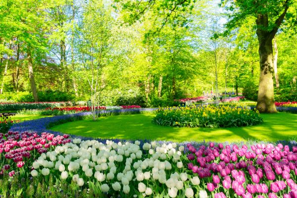 Cost of Spring Lawn Care in Gilbert