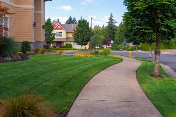 Cost of Home Lawn Maintenance in Gilbert