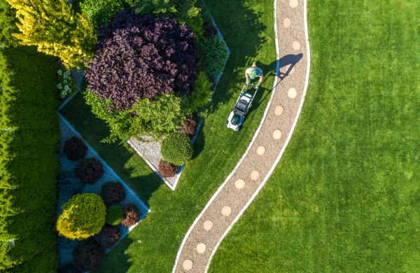 Cost of Mowing And Landscaping in Gilbert