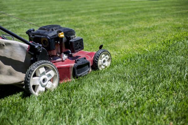 Cost of Routine Lawn Care in Gilbert