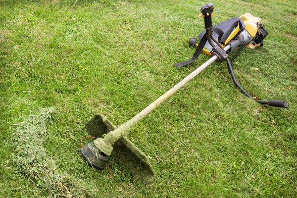 Cost of Hillside Weed Whacking in Gilbert