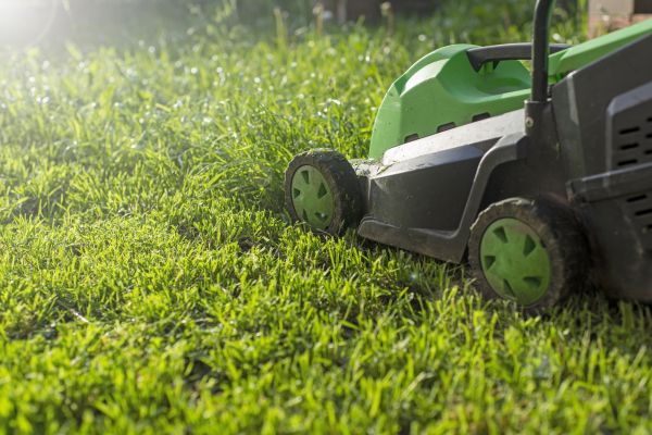 Cost of Yard Trimming in Gilbert