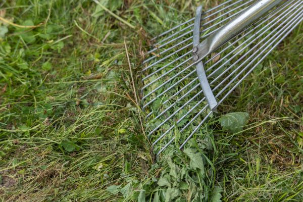 Cost of Thatch Raking in Gilbert