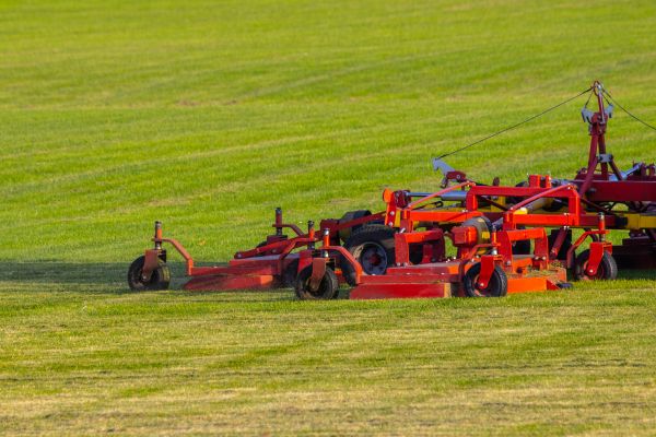Cost of Industrial Lawn Service in Gilbert