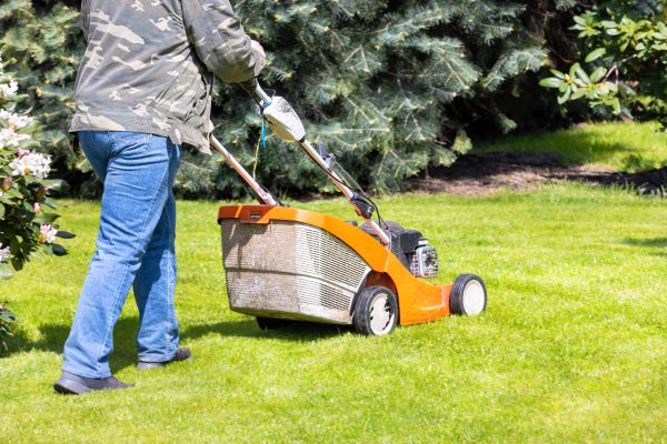 Cost of Springtime Lawn Care in Gilbert