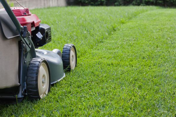 Cost of Spring Lawn Maintenance in Gilbert
