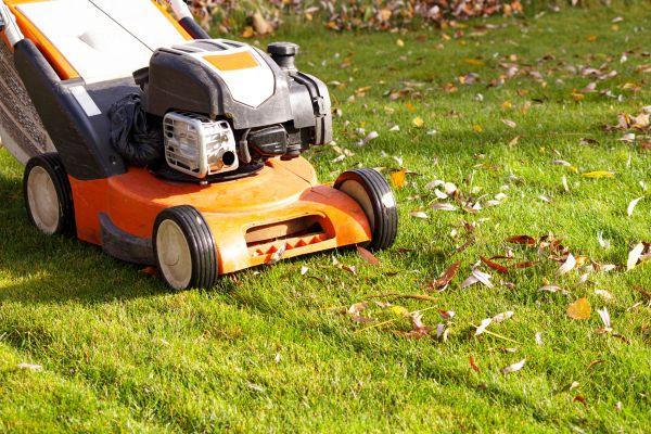 Cost of Fall Mowing in Gilbert