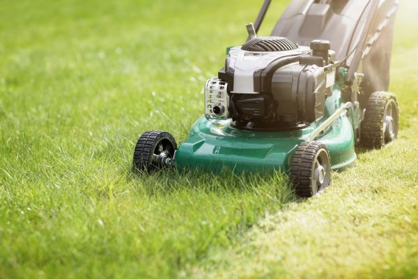 Cost of Spring Grass Trimming in Gilbert