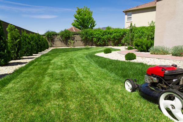 Cost of Residential Lawn Mowing in Gilbert